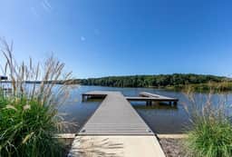 The Blue Heron